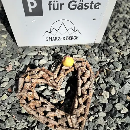 דירה Fuenf Harzer Berge Bocksberg זנקט אנדריאסברג